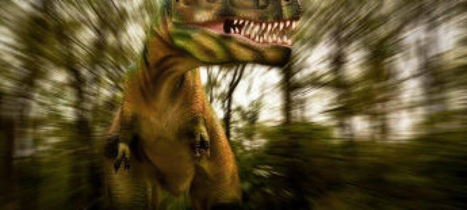 Tyrannosaurus Rex var et av unntakene som bekrefter regelen om plantespisende dinosaurer. (Illustrasjon: iStockphoto)