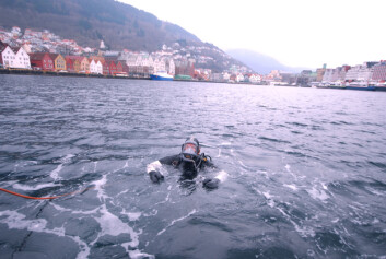 Byfjorden i Bergen. (Foto: Rolf Hordnes/Bergen kommune) Byfjorden i Bergen. (Foto: Rolf Hordnes/Bergen kommune)