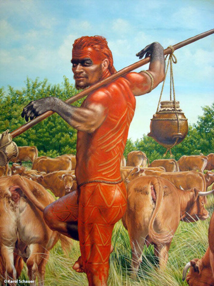 En kunstners framstilling av hvordan en europeisk steinalderbonde kan ha sett ut for 7 500 år siden. Da var storfehold introdusert til Europa. (Illustrasjon: Karol Schauer LDA Sachsen-Anhalt) En kunstners framstilling av hvordan en europeisk steinalderbonde kan ha sett ut for 7 500 år siden. Da var storfehold introdusert til Europa. (Illustrasjon: Karol Schauer LDA Sachsen-Anhalt)