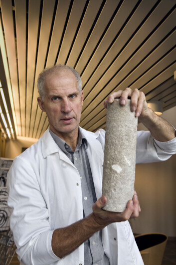 Erik Lindeberg leder arbeidet med å kartlegge lagringskapasiteten til Utsira-formasjonen i detalj. Her holder han opp en kjerneprøve, som er med på å danne grunnlaget for kartleggingen. (Foto: Sintef) Erik Lindeberg leder arbeidet med å kartlegge lagringskapasiteten til Utsira-formasjonen i detalj. Her holder han opp en kjerneprøve, som er med på å danne grunnlaget for kartleggingen. (Foto: Sintef)