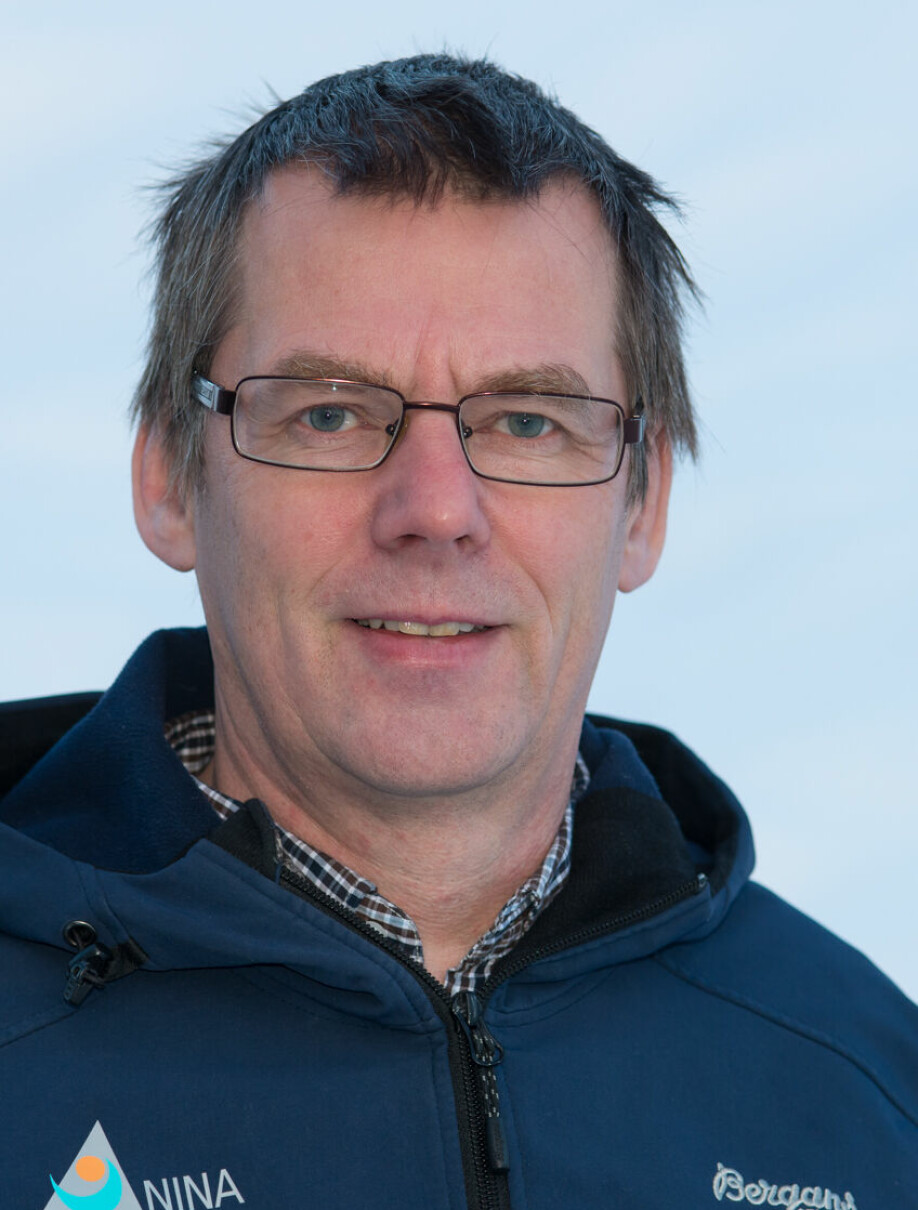Børre Kind Dervo er forsker ved Norsk institutt for naturforskning.