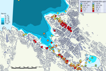 Kvikksølv i sediment i Bergen havn. (Illustrasjon fra rapporten "Tiltaksplan for Bergen havn") Kvikksølv i sediment i Bergen havn. (Illustrasjon fra rapporten "Tiltaksplan for Bergen havn")