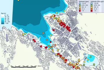 Kvikksølv i sediment i Bergen havn. (Illustrasjon fra rapporten "Tiltaksplan for Bergen havn")