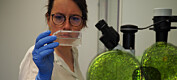 Danske forskere løser mysterium om giftige alger