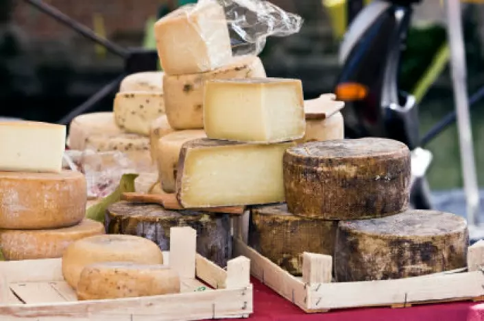"Selv ikke franskmenn synes fransk ost lukter godt, og ifølge en av studiens forfattere er dette grunnen til at fransk parfyme ikke kommer med ostelukt. (Illustrasjonsfoto: iStockphoto)"