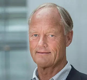 Firmaet som driver svindel kan være registrert som et datafirma, og så driver de med svindel som en bigeskjeft, forteller BI-professor Petter Gottschalk.