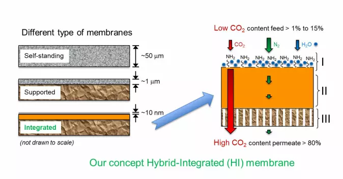 Tykkelsen på en membran måles i mikromenter eller nanometer. Illustrasjonen viser forskjellen på to vanlige membran-konsepter, og membranen som nå er utviklet (nederst). Den er bygget i nanometerskala, og er en såkalt hybrid-integrert membran. De blå punktene (NH2) er det aktive stoffet som fanger CO2-en. Disse sitter på «hårene» som gjør membranen så spesiell.