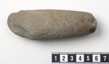 I graven fra jernalderen finner forskerne en grønnsteinsøks fra steinalderen. (Foto: Terje Tveit, Arkeologisk museum) I graven fra jernalderen finner forskerne en grønnsteinsøks fra steinalderen. (Foto: Terje Tveit, Arkeologisk museum)