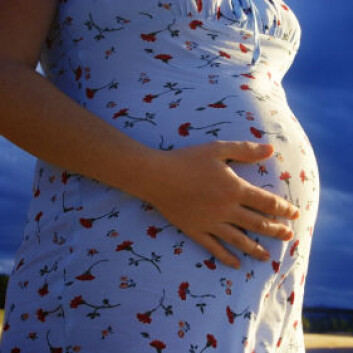 (Foto: iStockphoto) (Foto: iStockphoto)