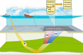 KJEMPEEKKOLODD: Seismikkfartøyene bruker luftkanoner som slepes som en vifte flere tusen meter bak fartøyet. Olje, gass og andre geologiske strukturer kartlegges. Illustrasjon av havbunnsseismikk: P = trykkbølger, S = skjærbølger. (Se www.statoilhydro.com for full forklaring av illustrasjon)