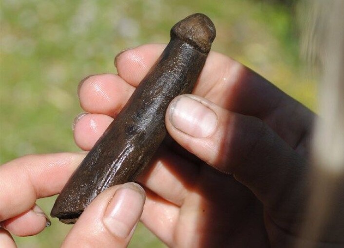 "Gammel, men fortsatt potent. Hornfiguren måler 12 centimeter i lengde og er to centimeter i diameter, ifølge de svenske forskerne (Foto: Göran Gruber/ Riksantikvarieämbetet)" "Gammel, men fortsatt potent. Hornfiguren måler 12 centimeter i lengde og er to centimeter i diameter, ifølge de svenske forskerne (Foto: Göran Gruber/ Riksantikvarieämbetet)"