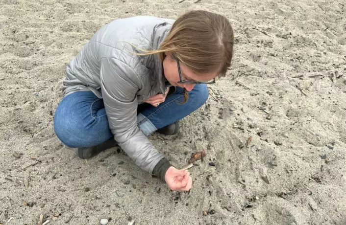 Elizabeth Ellenwood searches the sandy beach for small plastic pellets, or 'nurdles'.