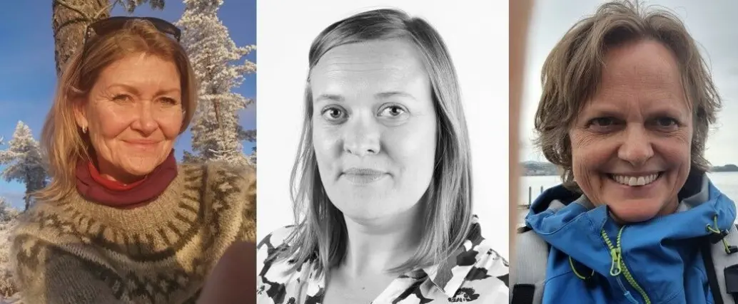 Tipstimen: Formidlingstiltak som virker Tipstimen: Formidlingstiltak som virker