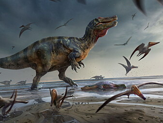 Forskere har funnet fossiler etter Europas største kjøttetende dinosaur