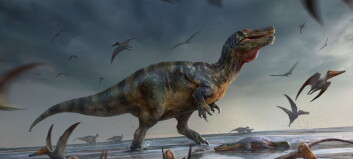 Forskere har funnet fossiler etter Europas største kjøttetende dinosaur