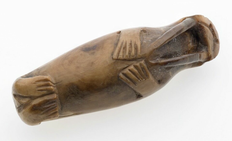 A walrus carved from walrus bone. This was found in Trondheim.