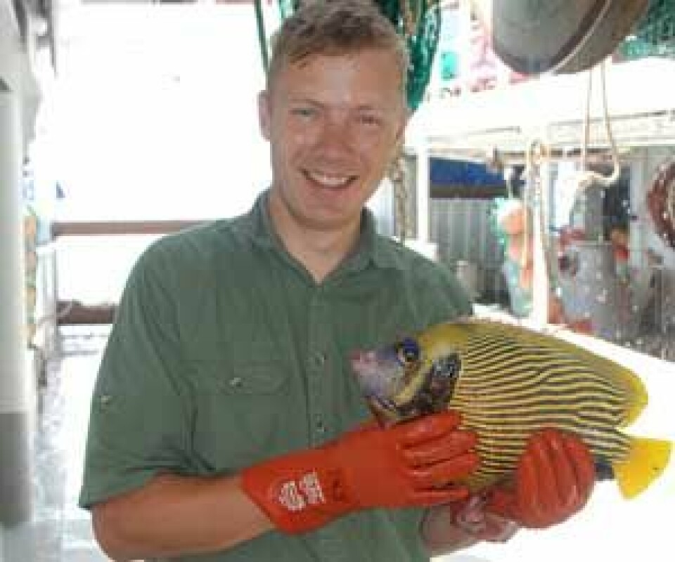 Toktleder Erik Olsen med fargerik korallrevsfisk (Pomacanthus imperator). (Foto: Thomas de lange Wenneck)
