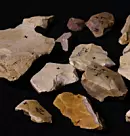 Tidlige mennesker kan ha brukt ild for en million år siden i Israel