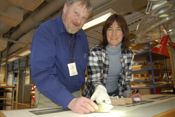 Eva Thate og Olle Hemdorff forsker på funn av eldre gjenstander i yngre graver. (Arkeologisk museum, UiS) Eva Thate og Olle Hemdorff forsker på funn av eldre gjenstander i yngre graver. (Arkeologisk museum, UiS)