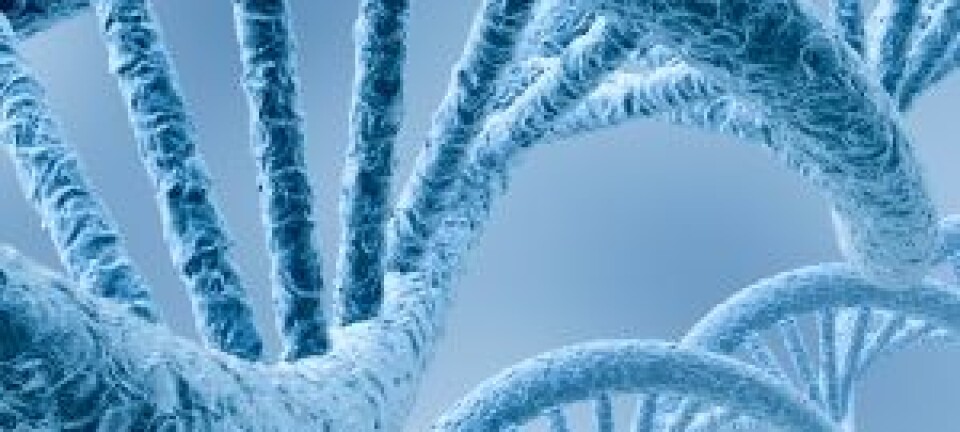 Førstørrelse av DNA-molekyl. (Illustrasjonsfoto: iStockphoto)
