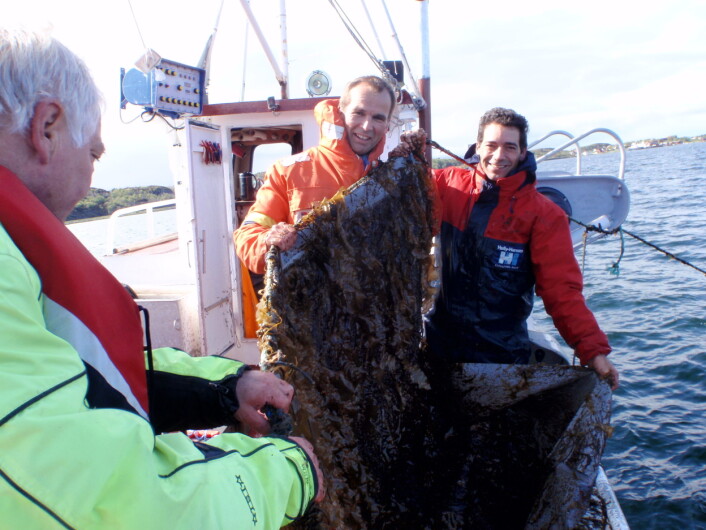 Fra prøvetokt med SINTEFs seniorforsker Egil Lien og Seaweeds Pål Bakken og Artur Simoes. Foto: Seaweed Fra prøvetokt med SINTEFs seniorforsker Egil Lien og Seaweeds Pål Bakken og Artur Simoes. Foto: Seaweed