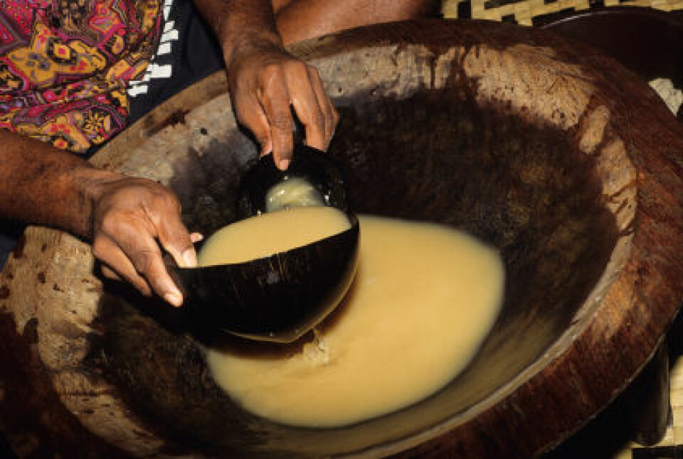 'Kavadrikken lages enten av bladene eller røttene på kavaplanten. Den drikkes ved ulike seremonier og festligheter på flere Stillehavsøyer. (Foto: iStockphoto)'