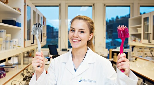 Hva er mest hygienisk av oppvaskbørste og kjøkkensvamp? Hva er mest hygienisk av oppvaskbørste og kjøkkensvamp?