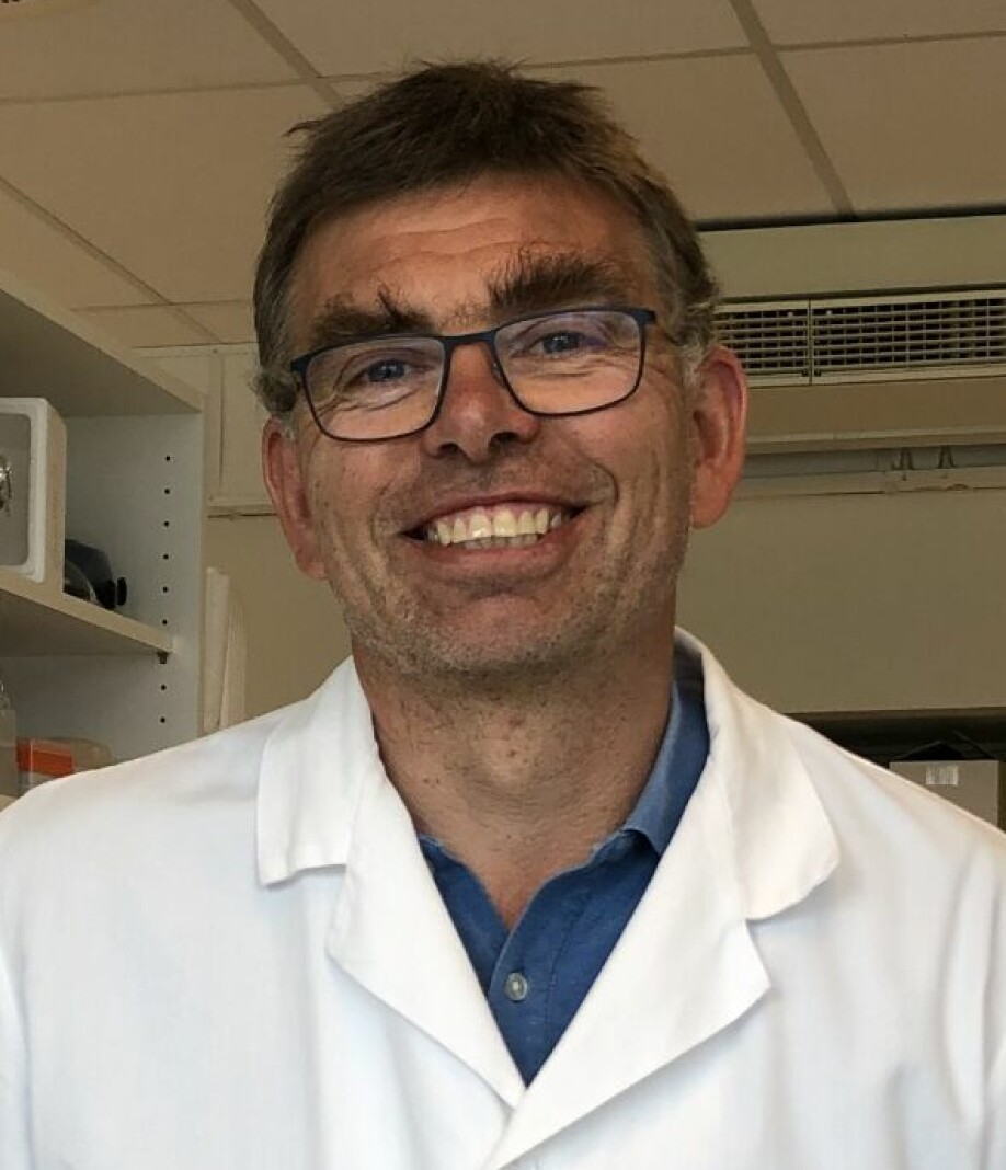 Nofima-forsker Trond Møretrø har vært ansvarlig for bakterieanalysene av oppvaskbørster og kjøkkensvamper.
