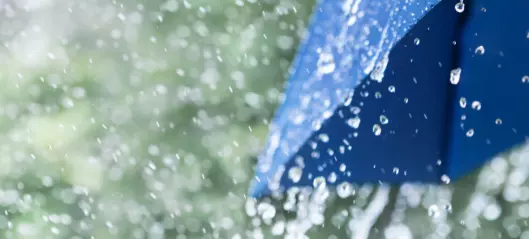 Hva er forskjellen på duskregn og styrtregn?