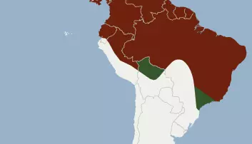 Den froskespisende flaggermusen har leveområde fra sør i Mexico til sør i Brasil.