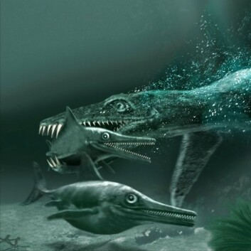 ""Monsterøgla", pliosaurus og fiskeøglene. (Illustrasjon: Tor Sponga, BT/ Naturhistorisk museum, Universitetet i Oslo)" ""Monsterøgla", pliosaurus og fiskeøglene. (Illustrasjon: Tor Sponga, BT/ Naturhistorisk museum, Universitetet i Oslo)"