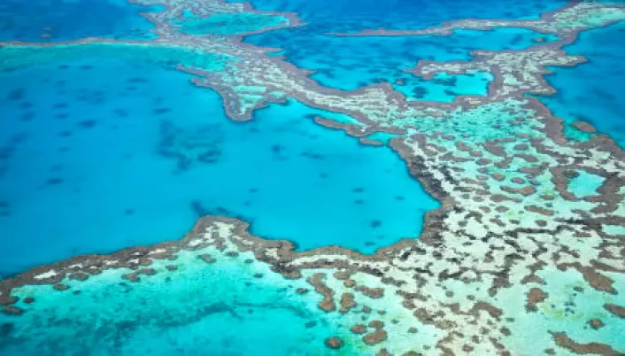 "Australia regnes som svært sårbart for klimaendringer, særlig på grunn av verdens største korallrev Great Barrier Reef. (Foto: iStockphoto)"