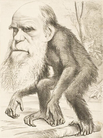 "Baugen legger vekt på at evolusjonsteorien ikke er fakta, men en teori. Evolusjonsbiolog Sætre er uenig. (Illustrasjon: Wikimedia Commons)" "Baugen legger vekt på at evolusjonsteorien ikke er fakta, men en teori. Evolusjonsbiolog Sætre er uenig. (Illustrasjon: Wikimedia Commons)"