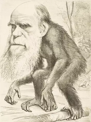 "Baugen legger vekt på at evolusjonsteorien ikke er fakta, men en teori. Evolusjonsbiolog Sætre er uenig. (Illustrasjon: Wikimedia Commons)"