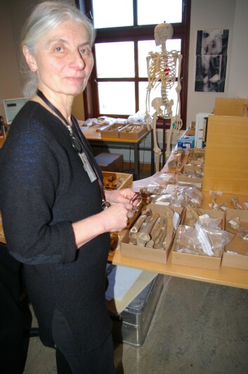 "Paula Utigard Sandvik ved Arkeologisk museum i Stavanger der skjelettene nå settes sammen og analyseres. (Foto: Bjørnar Kjensli)" "Paula Utigard Sandvik ved Arkeologisk museum i Stavanger der skjelettene nå settes sammen og analyseres. (Foto: Bjørnar Kjensli)"