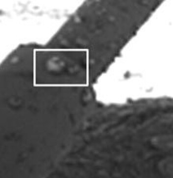 "Vanndråpe på Phoenix Mars Lander. (Foto: NASA) "Vanndråpe på Phoenix Mars Lander. (Foto: NASA)