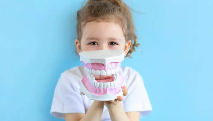 Hvor er egentlig tennene før de vokser ut?