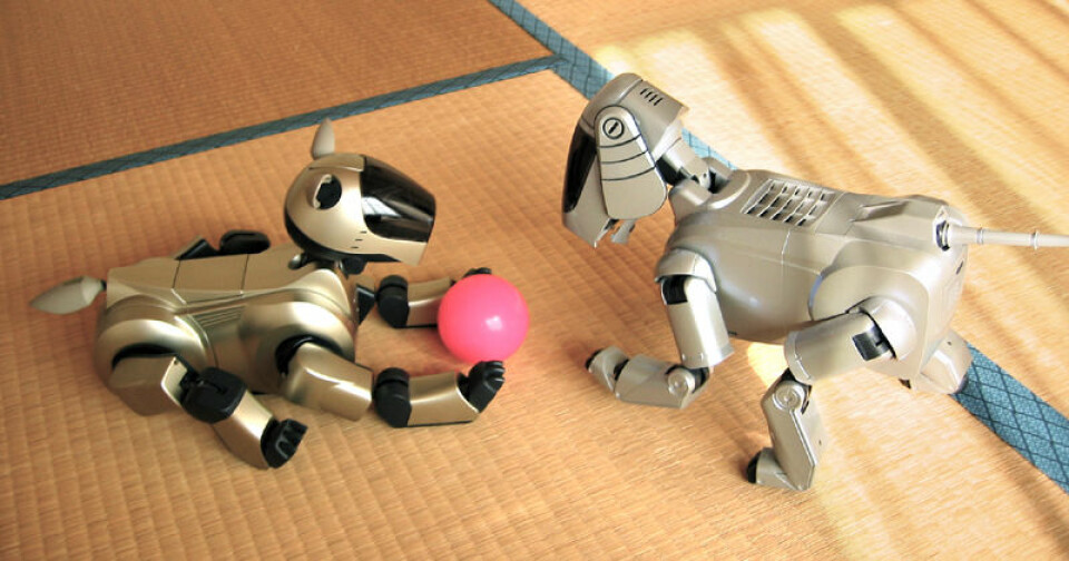 'To utgaver av robotkjæledyret Aibo, laget av Sony. (Foto: Wikimedia Creative Commons)'