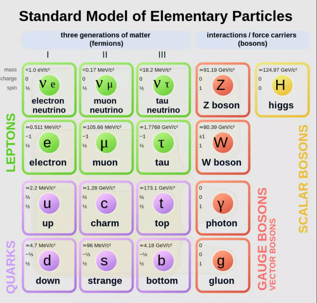 Her er alle partiklene i Standardmodellen. Dette er de minste byggesteinene som verden vi kjenner er bygd opp av.