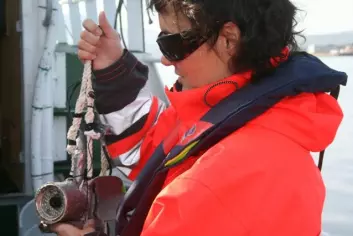 Havforsker ved Akvaplan-niva, Nina Mari Jørgensen, bruker undervannskamera for å kartlegge omfanget av tareskog i Troms. Resultatet er magert. (Foto: Liv Røhnebæk Bjergene)