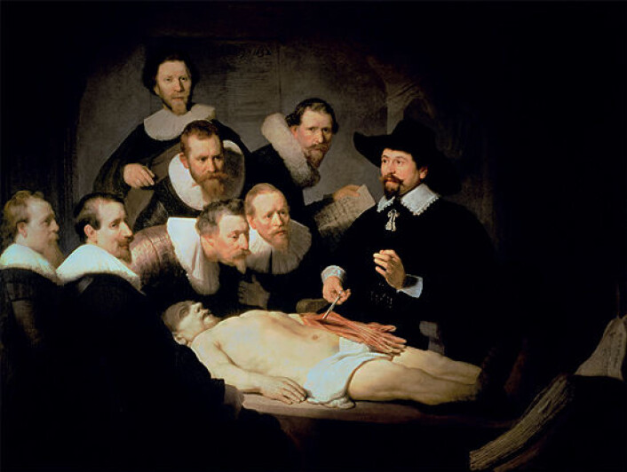 I Rembrandts ”Doktor Tulps anatomileksikon” vises armens innside. Maleriet gjengir disseksjonen så nøyaktig at det ikke er tvil om hvilke sener og muskler som vises. Gjengitt med tillatelse fra Espen Stueland: Gjennom kjøttet (2009). I Rembrandts ”Doktor Tulps anatomileksikon” vises armens innside. Maleriet gjengir disseksjonen så nøyaktig at det ikke er tvil om hvilke sener og muskler som vises. Gjengitt med tillatelse fra Espen Stueland: Gjennom kjøttet (2009).