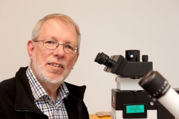 – Fra det skjulte livet blant røttene under jorda har vi funnet DNA fra sopp som vi ikke aner hvordan ser ut, sier professor Karl-Henrik Larsson. (Foto: Yngve Vogt) – Fra det skjulte livet blant røttene under jorda har vi funnet DNA fra sopp som vi ikke aner hvordan ser ut, sier professor Karl-Henrik Larsson. (Foto: Yngve Vogt)
