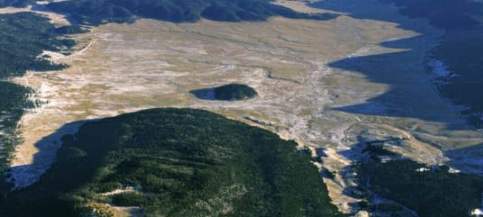 Flyfoto av Valle Grande i Valles Caldera. (Foto: Don Usner)