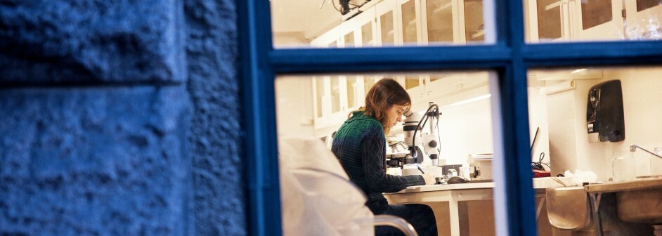 Blogg: Naturhistorier