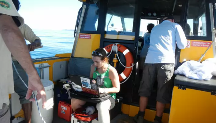 Forsker Jenny Allen tar opptak av hvalsang.