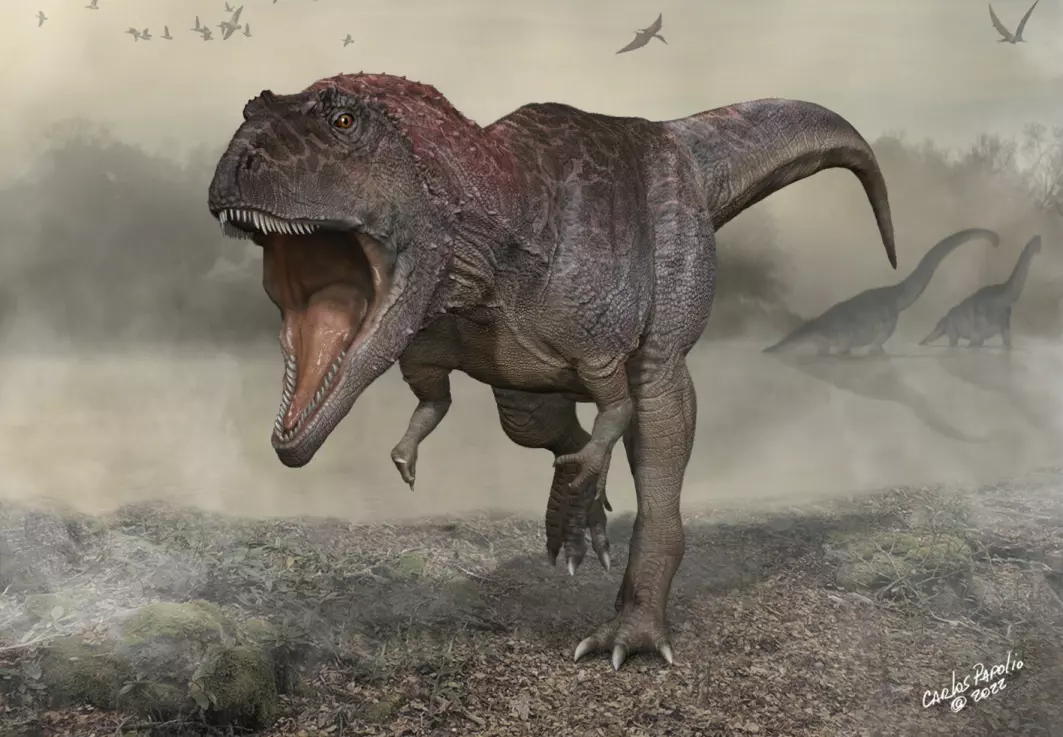 Sjekk de små armene! Meraxes gigas ligner ganske mye på T-rex, selv om de egentlig ikke er særlig nært i slekt.