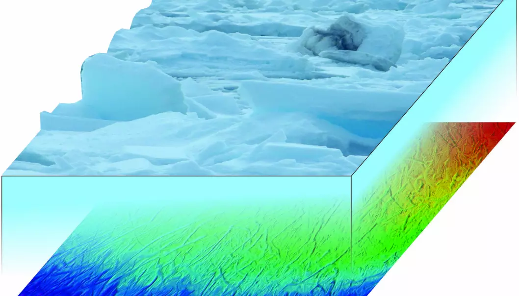 På overflaten ser vi bare is og isfjell, men det er mange forskjellige strukturer på havbunnen. Her ser vi plogmerker som lages når isfjell eroderer havbunnsedimentene. På overflaten transporterer isen sedimenter og alger, noe som gir den en brunaktig farge. Når isen smelter synker sedimenter og organisk materiale ned til havbunnen.