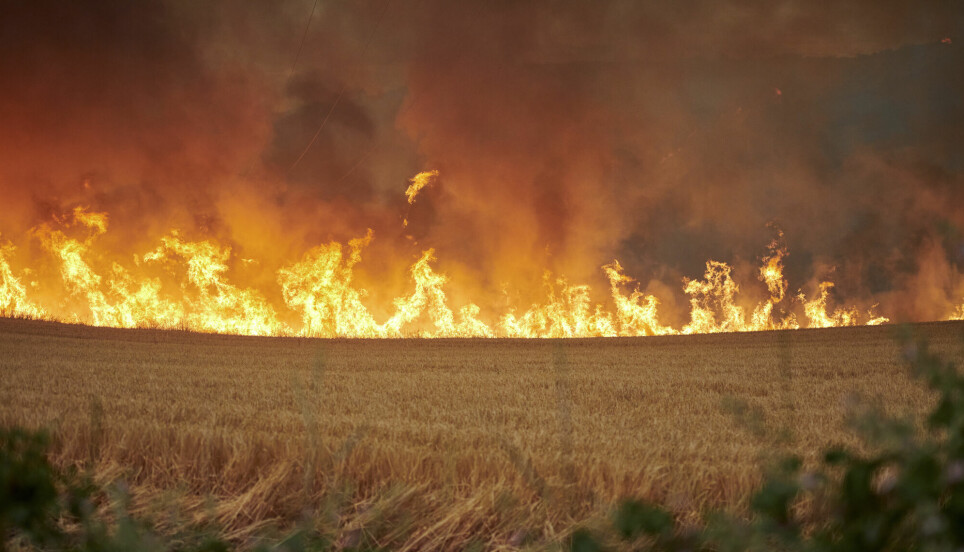 Her brenner det i Arraiza i nord-Spania i juni 2022. Området har opplevd en usedvanlig hetebølge i det siste.