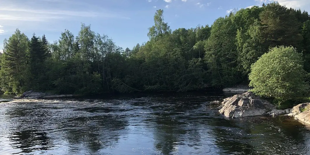 Badeplasser blir mindre attraktive når vannet er brunt. Nå vil forskere prøve ulike metoder for å gjøre vannet klarere. Badeplasser blir mindre attraktive når vannet er brunt. Nå vil forskere prøve ulike metoder for å gjøre vannet klarere.