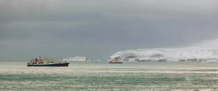 Skipstrafikken ved Svalbard og Bjørnøya øker. Dette skyldes blant annet de fiskerike farvannene.